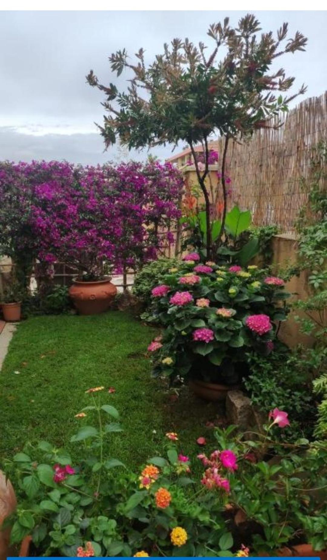 Appartement La Casa Di Luca à Olbia Extérieur photo